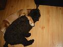 109-0972_IMG