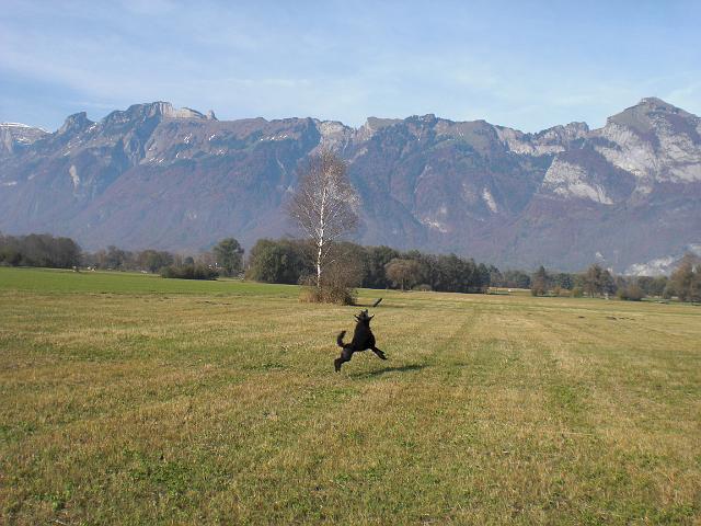CIMG1065.JPG