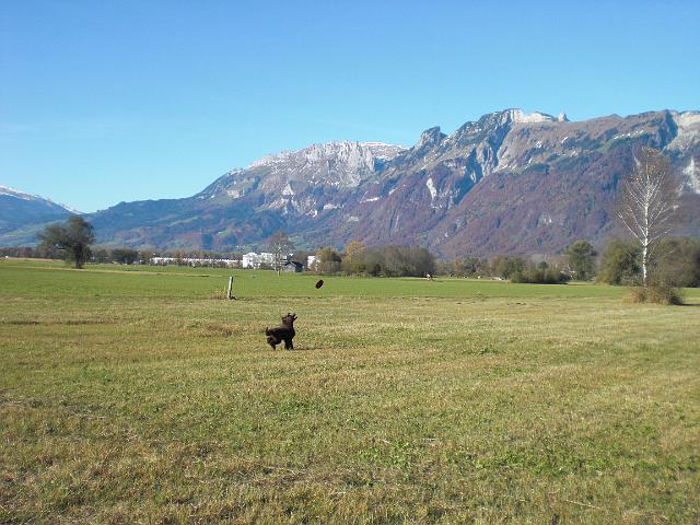 CIMG1082.JPG