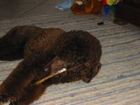 100-0093_IMG 