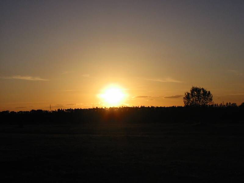 103-0332_IMG 