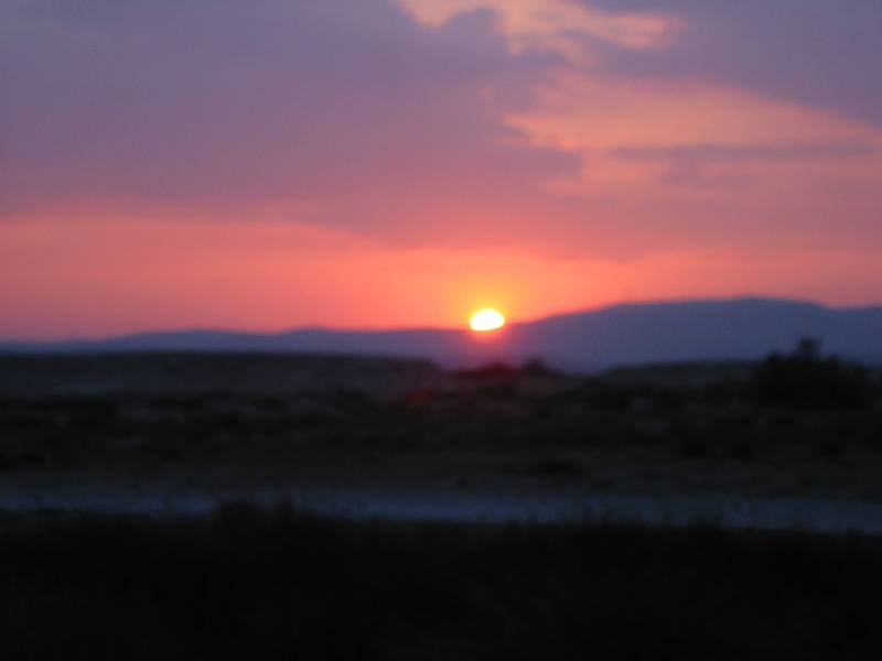 111-1197_IMG 