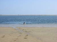110-1033_IMG 