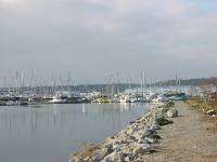 115-1580_IMG 