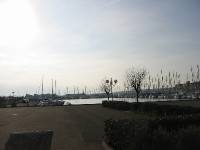 115-1591_IMG 