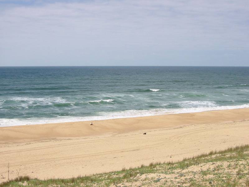119-1951_IMG 