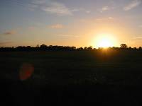 131-3152_IMG 