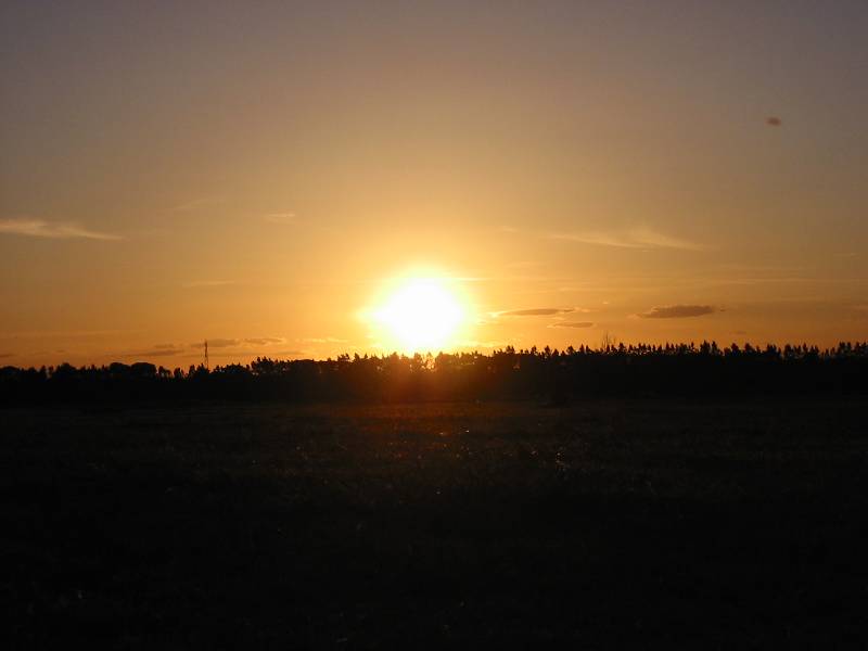 103-0336_IMG 