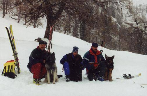 lawinen_team Kira mit 10 Monaten, Lawinen-Junghundekurs mit der Liechtensteiner Rettungshundegruppe / Januar 2001