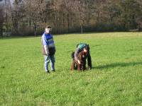 2 Fhrten und Revier